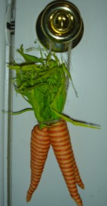 Carrots Carrots