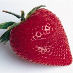 Fluffy Fruity Dip