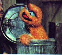 Oscar was orange but never a chicken.  