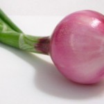 Stuffed Onions