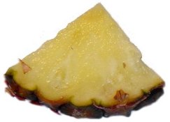 Fresh pineapple slice Fresh pineapple slice