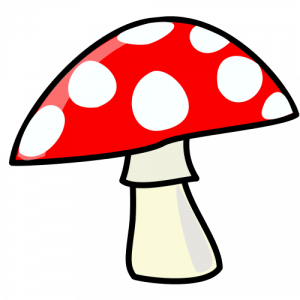 Stuff that 'shroom