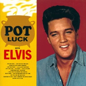 Elvis loves potluck!