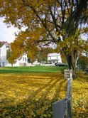 Nany's backyard in the fall.  Breathtaking.  