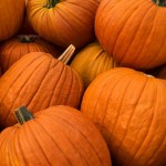 Pumpkin Pasta