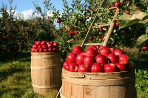 Pick your own!