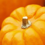 Mrs. B & her Pumpkin Bread