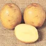 Sour Cream Mashed Potatoes